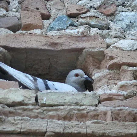 Country house Torre Del Golfo