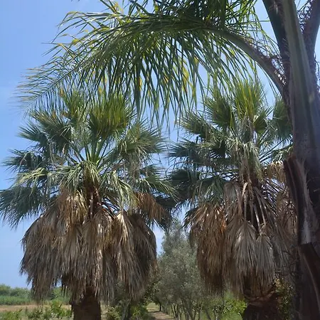 Torre Del Golfo Casa di campagna Cropani