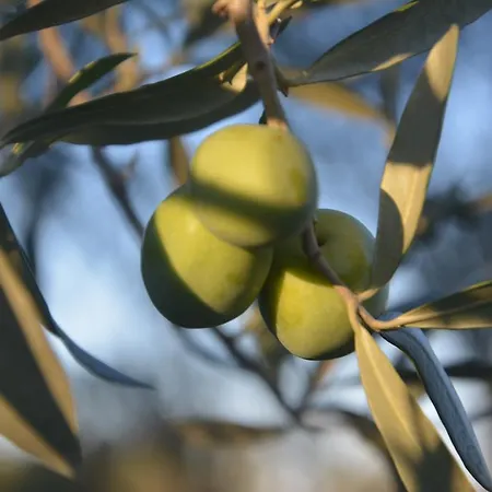 Country house Torre Del Golfo Cropani