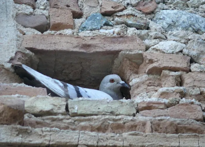 Casa de Campo Torre Del Golfo